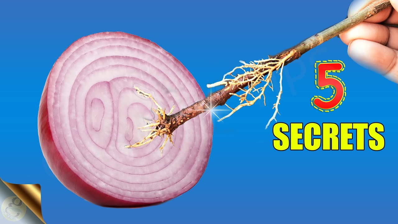 5 SECRET USES OF ONIONS IN GARDENING THAT NO ONE TOLD YOU BEFORE! | GARDEN HACKS