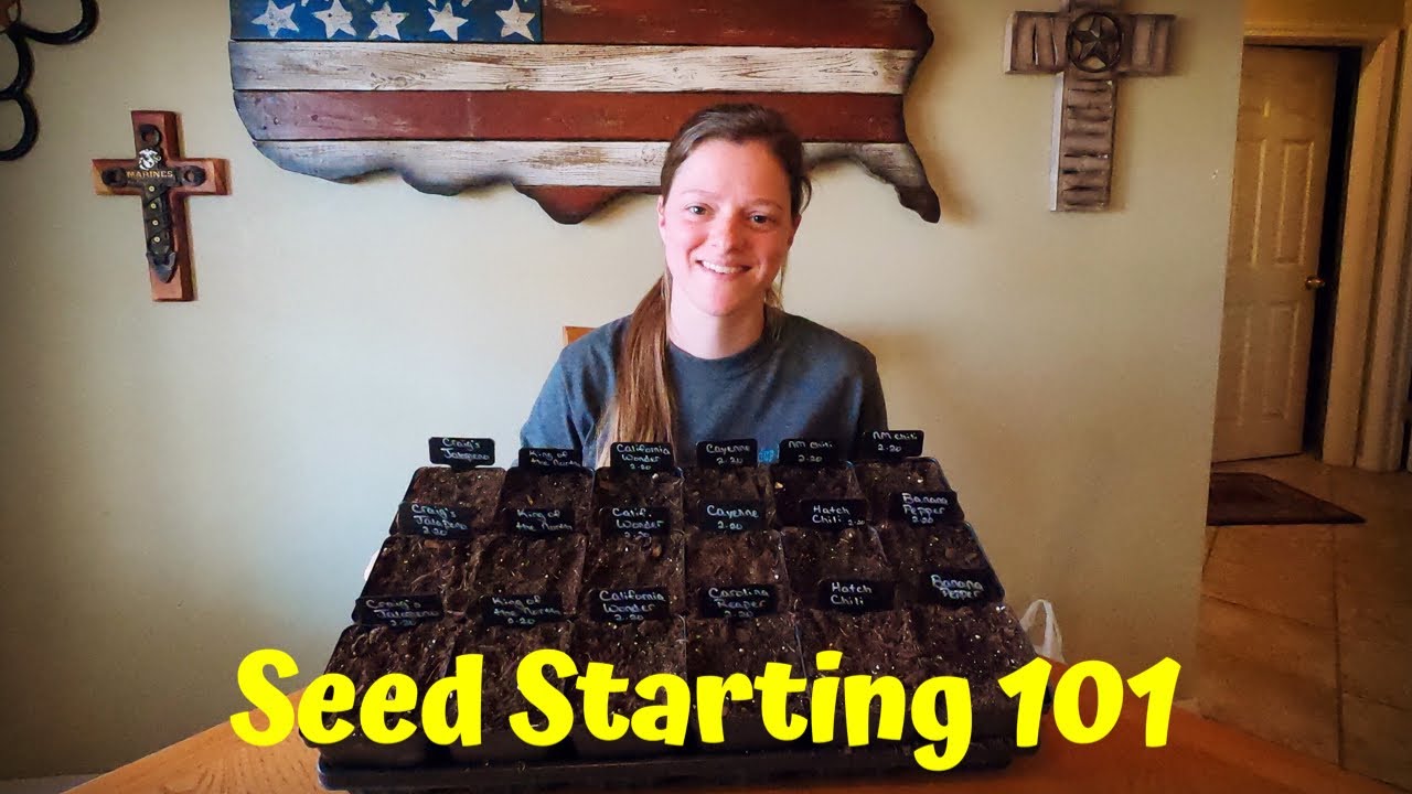 How To Start Peppers From Seed | Indoor Seed Starting | Gardening 101