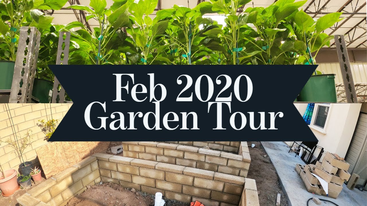 California Gardening Feb 2020 Garden Tour - Gardening Tips, Advice & more!