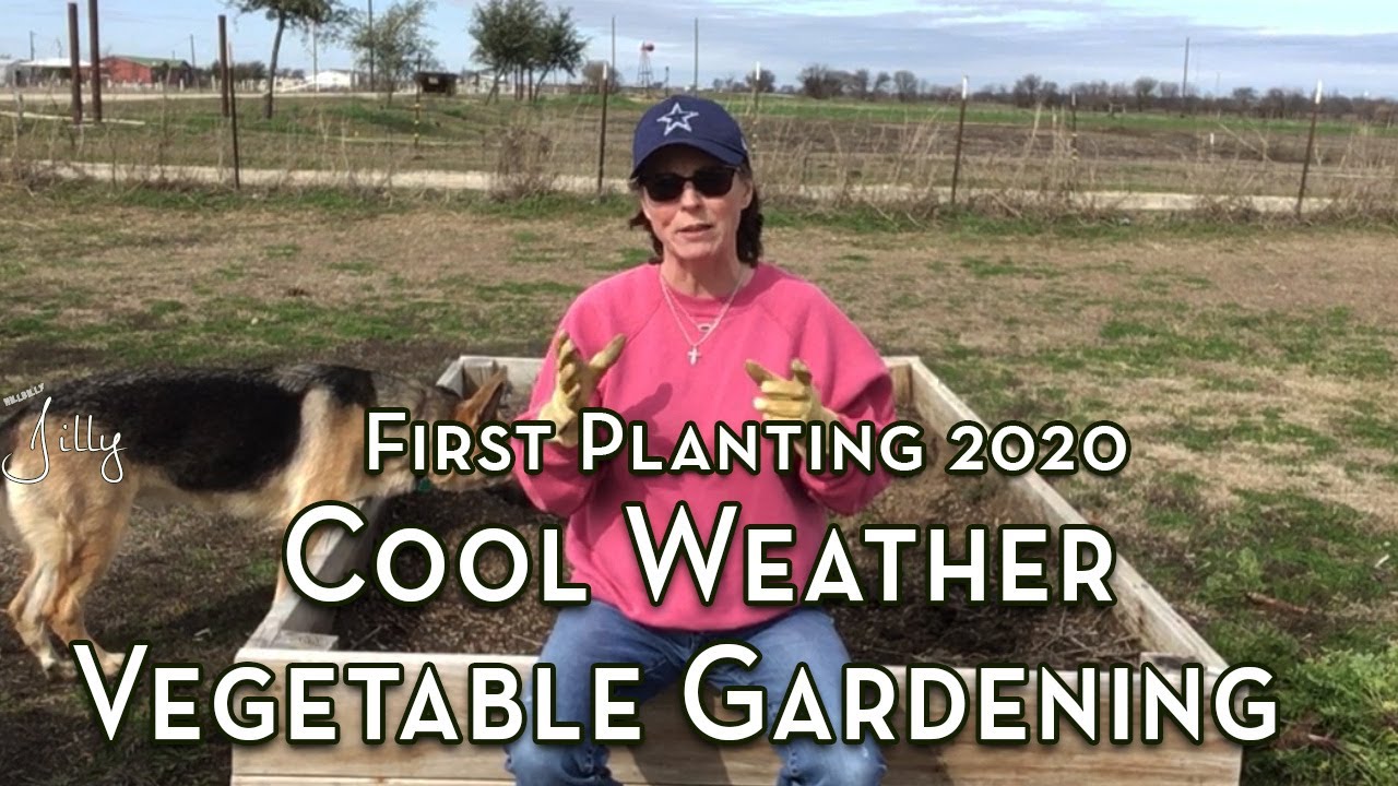 First Planting 2020 - Cool Weather Vegetable Gardening