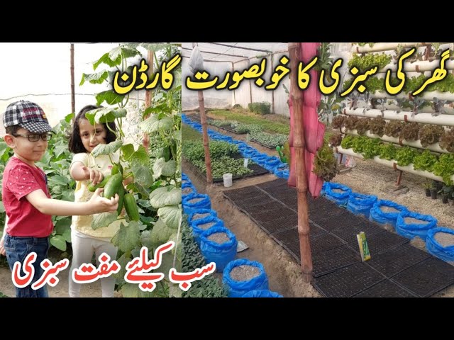 Home gardening |Grow different vegetables and flowers in your home garden, IR farm, hindi/urdu