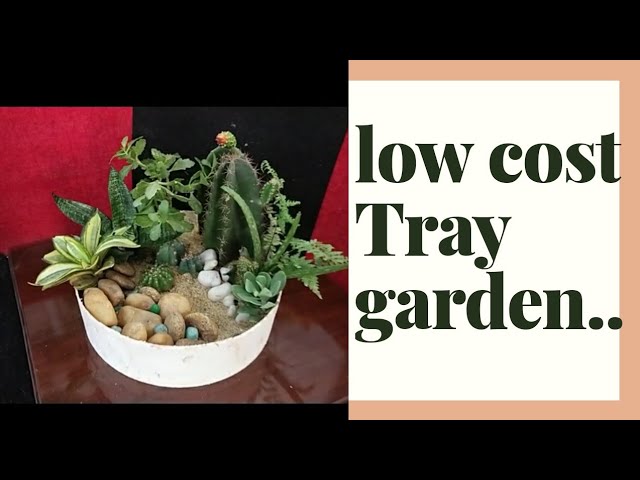 Low cost 'Tray garden' (Enchanted gardening) subscribe for more videos😋