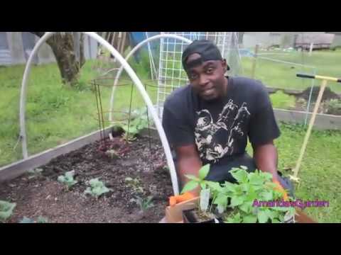 IT'S Time For YOU To Start Gardening Now!!!!(AGE DOESN"T MATTER!!!!)|Planting Amanda's Garden