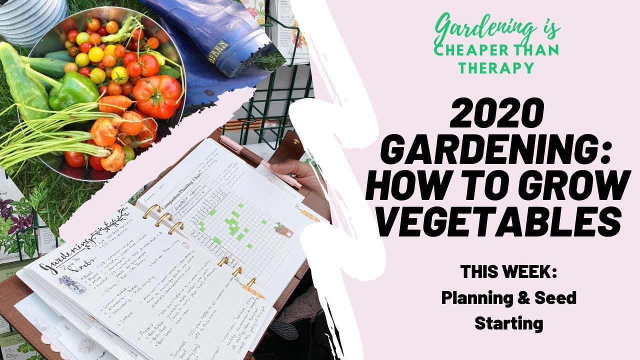 2020 GARDENING: How to grow vegetables: week 1: Planning & Seed Starting