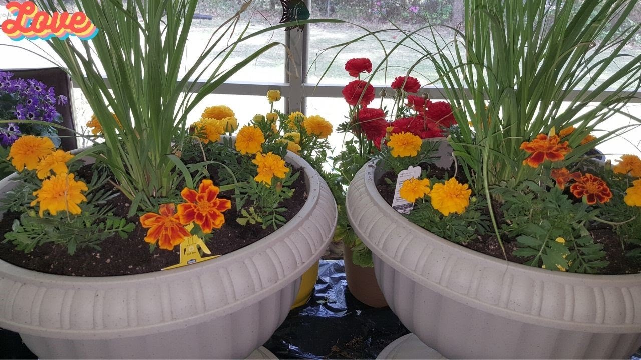 Container gardening🌞🌟 Planting Marigolds and White Pampas grass 🌞🌟 Gardening with Susie TLC