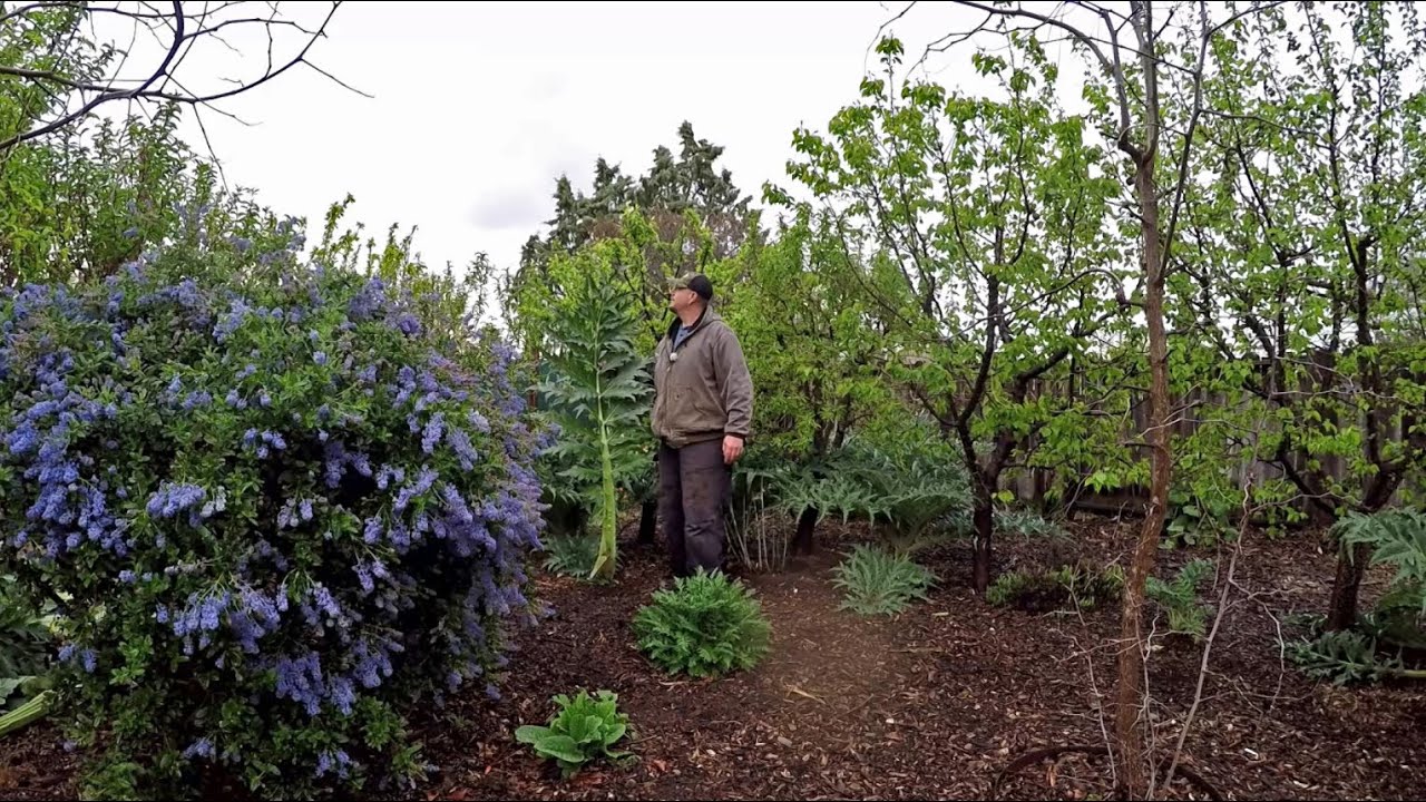 Man Finds Inner Peace Through The Simple Act Of Gardening