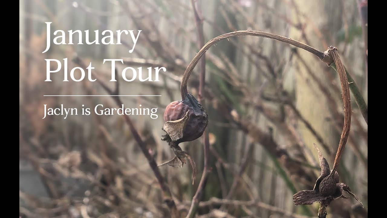 January Plot Tour: Jaclyn is Gardening