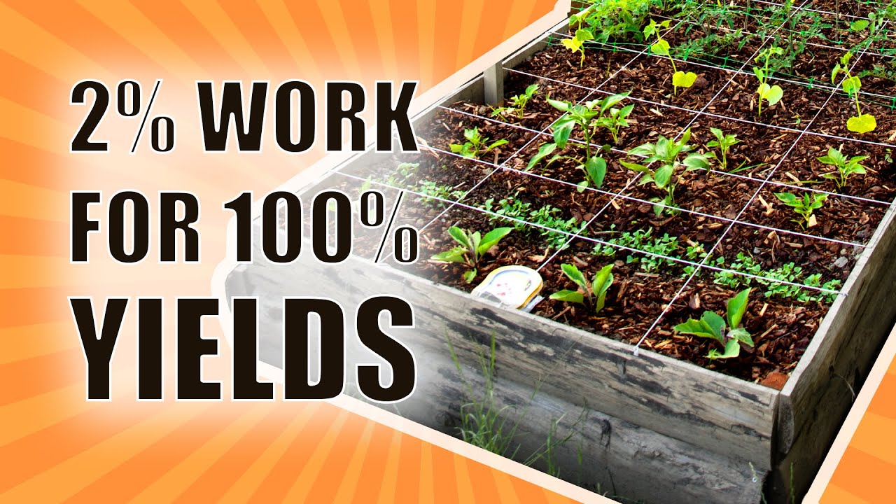 Square Foot Gardening BASICS | 2% OF WORK FOR 100% YIELDS (Beginners Friendly!)