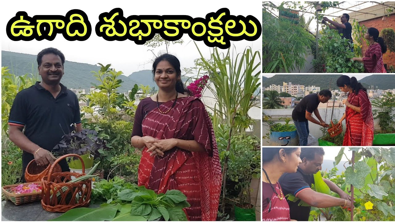Let's grow our food this NewYear/Ugadi/కొత్త సంవత్సరంలో కొత్త అంకురార్పణ. #gardening  #growingfood
