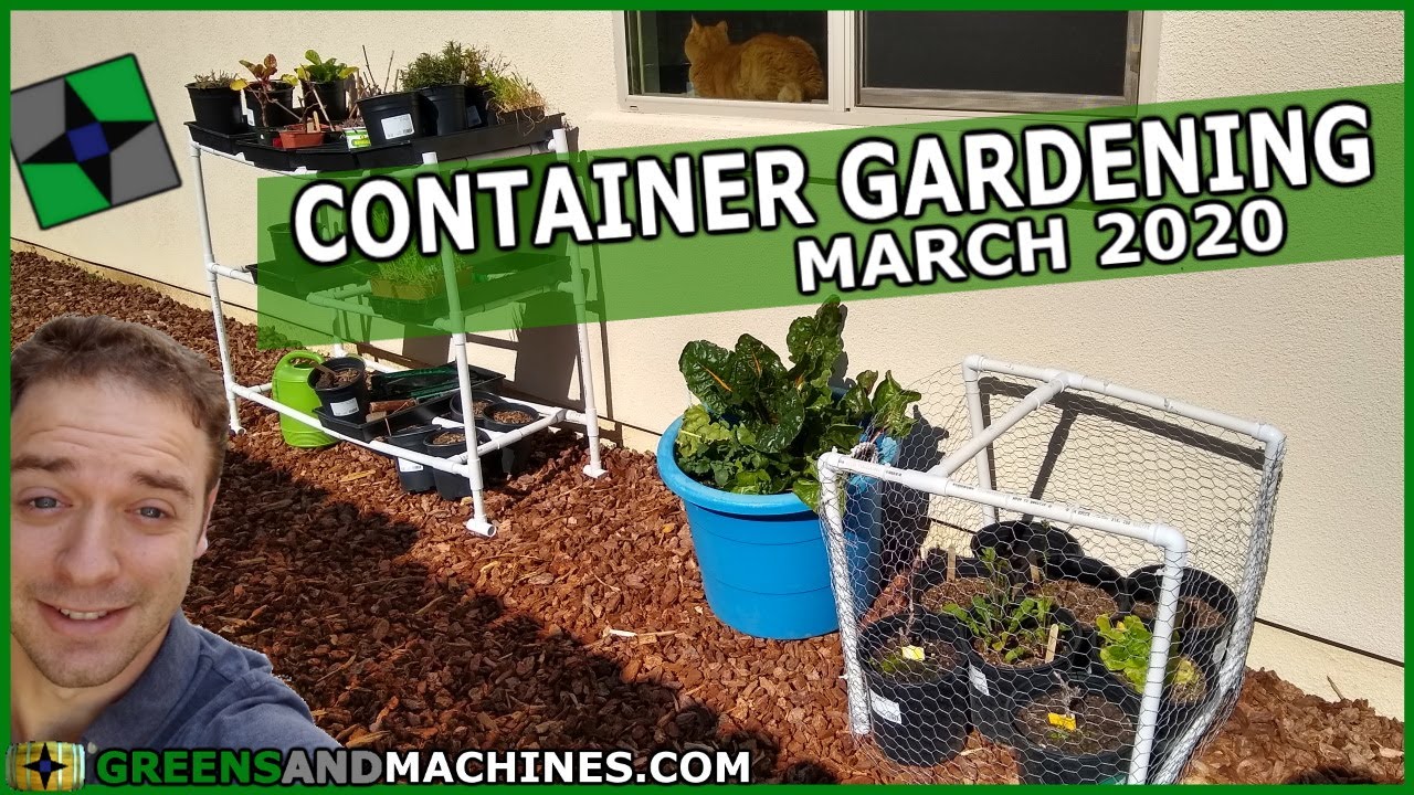 Here's Which Vegetables I'm Planting in March | Container Gardening