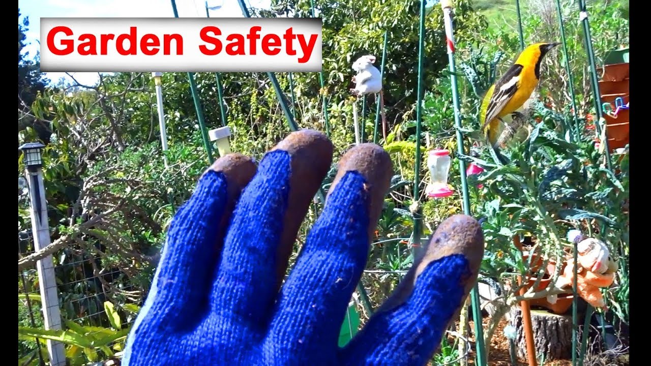 Simple Garden Safety Tips as We do Food Gardening Growing Vegetables-Compost in Place-Pot Plants