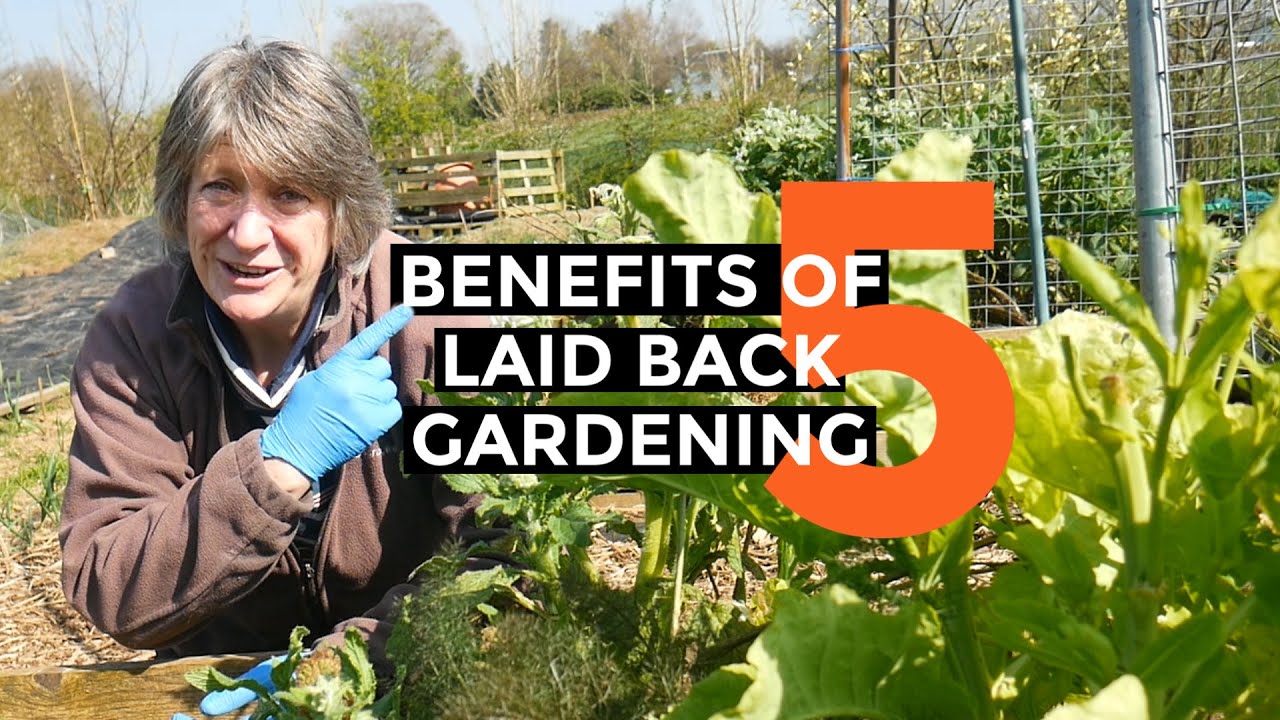 5 Advantages of LAZY Gardening | Energy Saving Garden Hacks (March 2020)