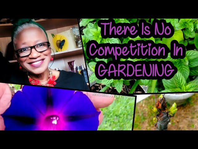 There is NO Competition in GARDENING