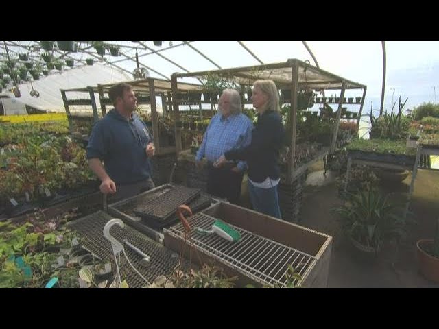 Grow with KARE: Tangletown Gardens shares gardening trends