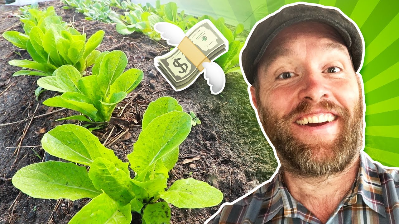 How Gardening Pays me $100 for 10 Minutes of Work