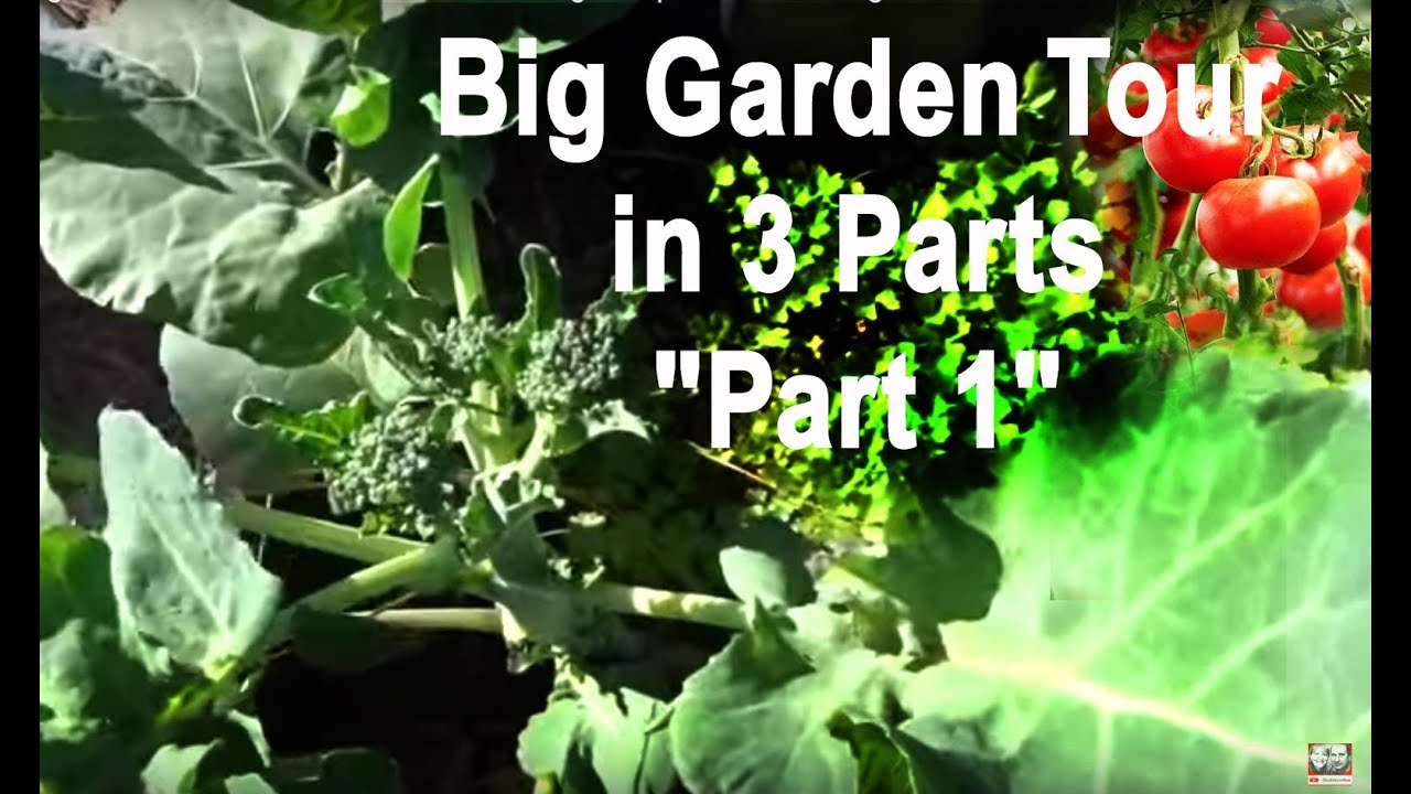 Garden Tour April-Growing Food in Front Yard-Container Gardening-Compost in Place-Vegetables-Part 1