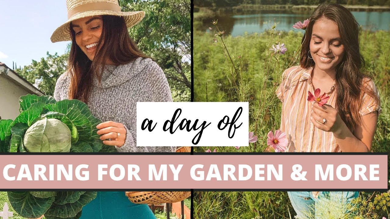 A Day Of Gardening | Growing, Harvesting & Propagating For Beginners