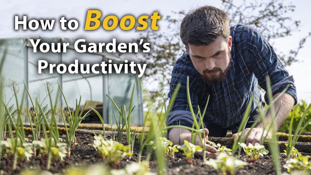 The Most Incredible Skill to Improve Your Gardening