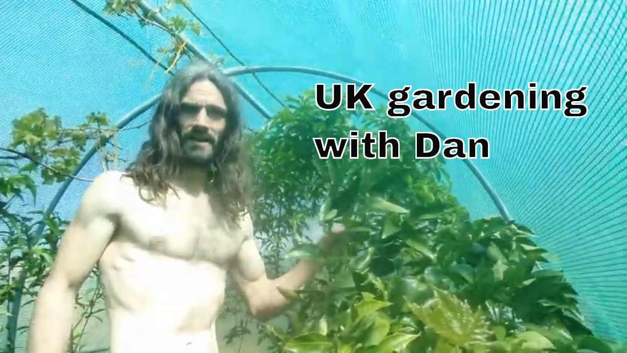 Sunday gardening with Dan.