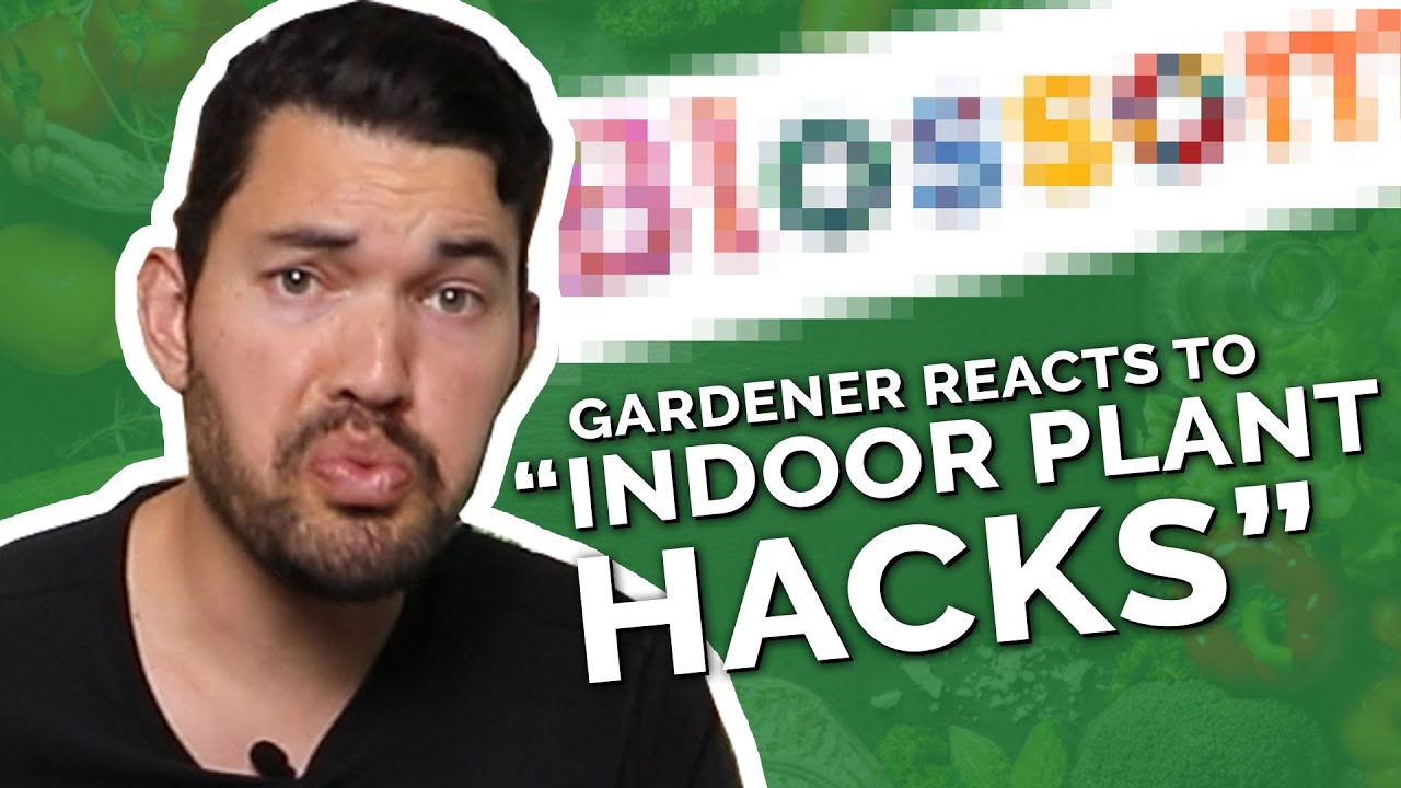 Gardener Reacts to "Indoor Gardening Hacks"