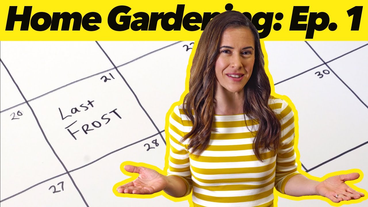 What to Plant When | Home Gardening: Episode 1