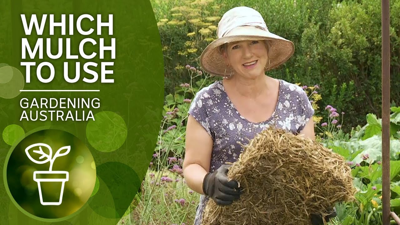 Mulch – which one and when to use it | DIY Garden Projects | Gardening Australia