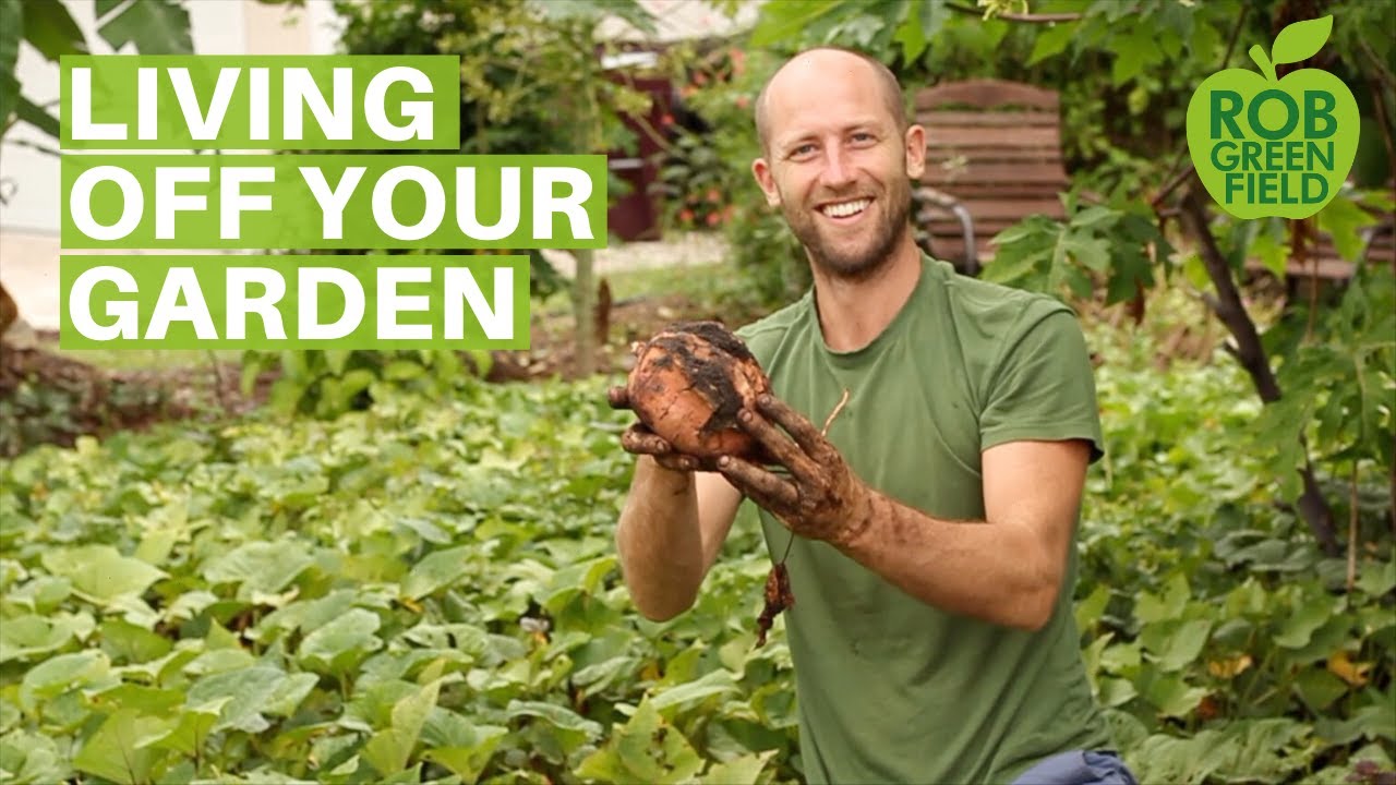 13+ Survival Gardening Crops To Grow To Live Off Your Garden