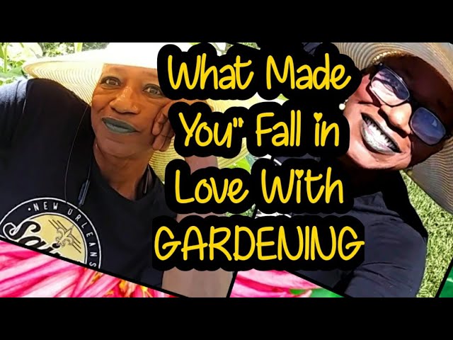 Saving My Tomatoes Plants//What Made You Fall in love With Gardening?