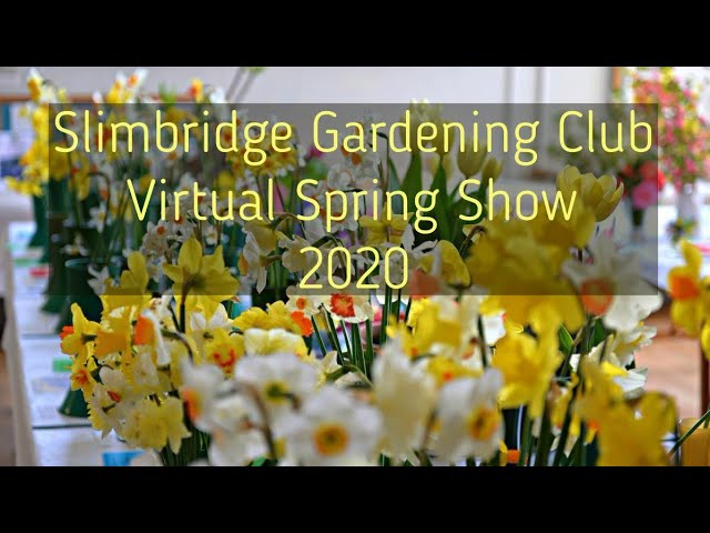Slimbridge Gardening Club "Virtual Spring Show" 2020