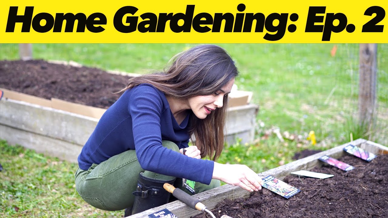How to Start Seeds | Home Gardening: Episode 2