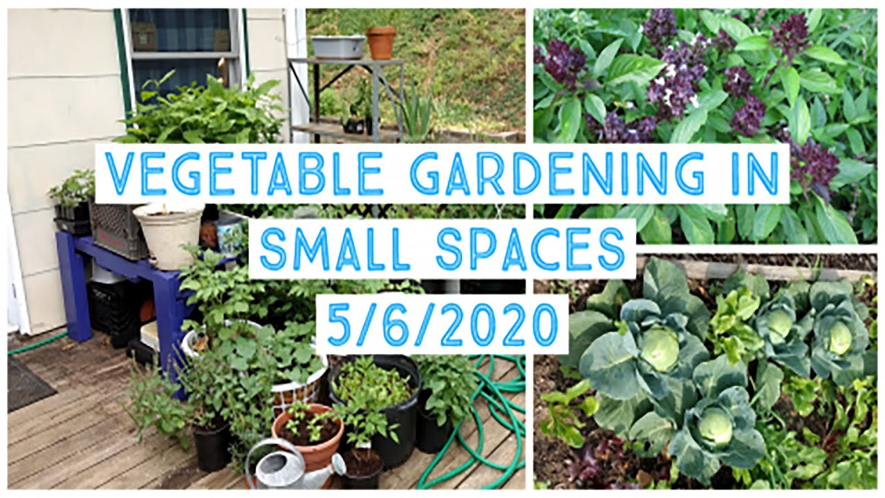 Hi Dan,Can you edit the title? It should be "Vegetable Gardening in Small Spaces - Webinar