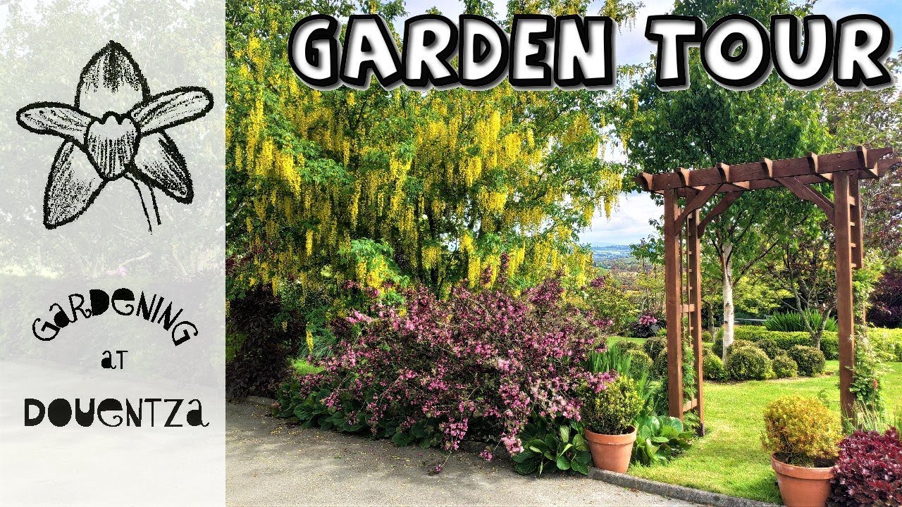 Tour of my Garden in May - gardening chat & great-looking plants