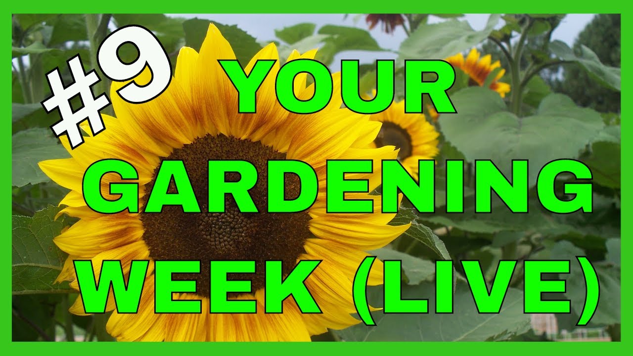 Your Gardening Week (Live) #9