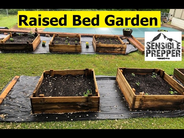 Survival Gardening  Budget Raised Beds