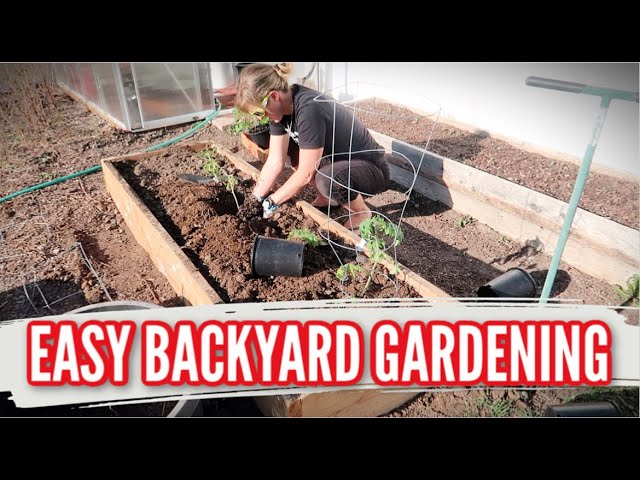 EASY BACKYARD GARDENING | TOMATOES & PEPPERS IN RAISED GARDEN BEDS | HOW TO START A GARDEN
