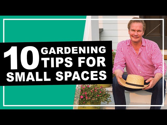 10 Must Have Plants and Gardening Tips for Small Spaces | May 2020
