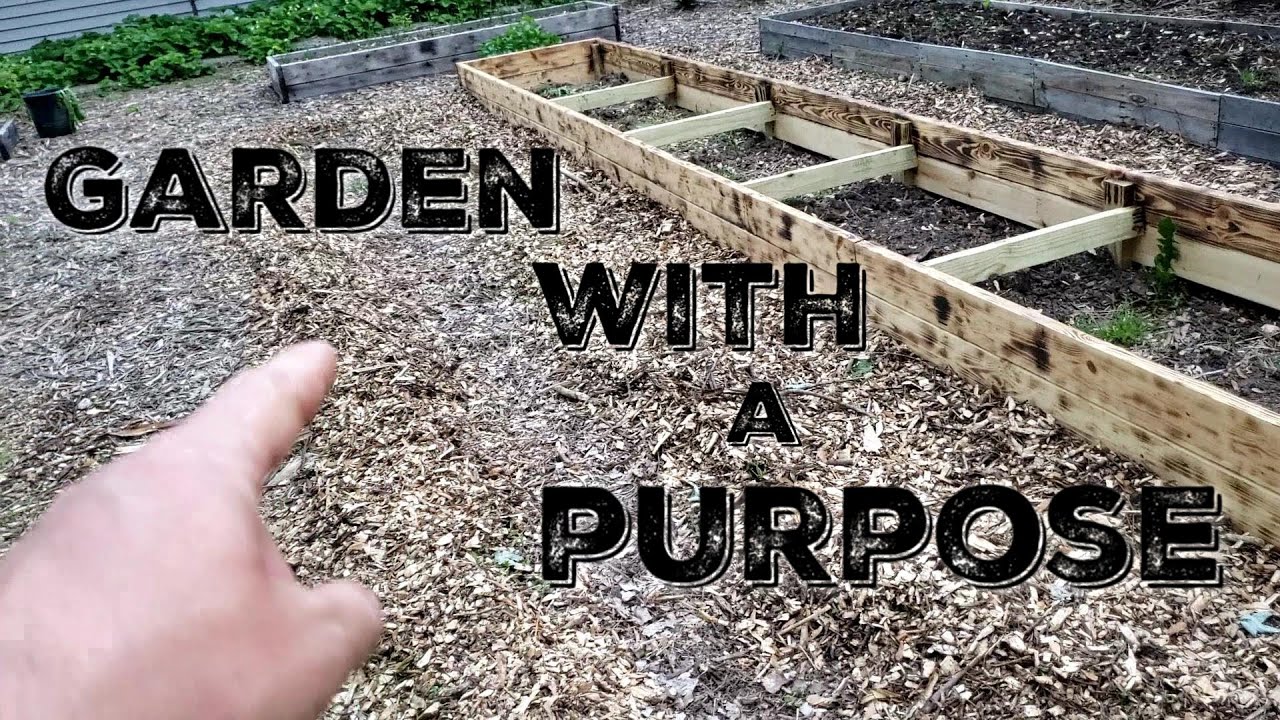 Gardening With A Purpose - Planting a Natural Organic Garden