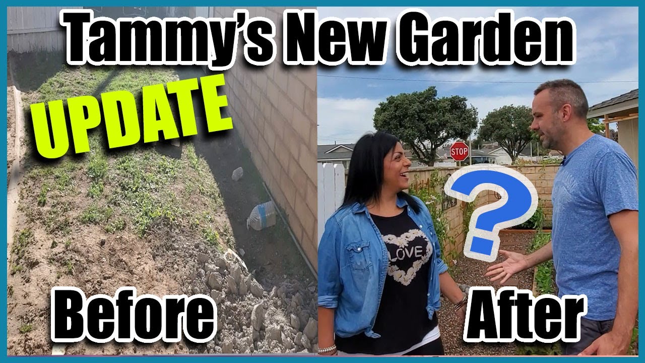 Gardening From Scratch With Tammy. Garden Reveal! Plus Planting Corn, Chives and Harvesting Potatoes