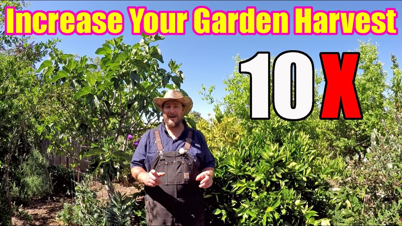 This Simple Gardening Tip Can Increase Your Garden Harvest By 10X !!