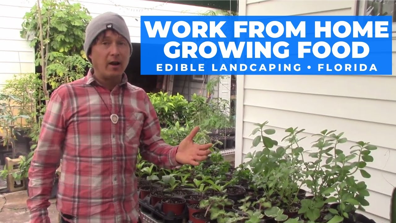 Turn Your Gardening Hobby into a Job & Work from Home Growing Food