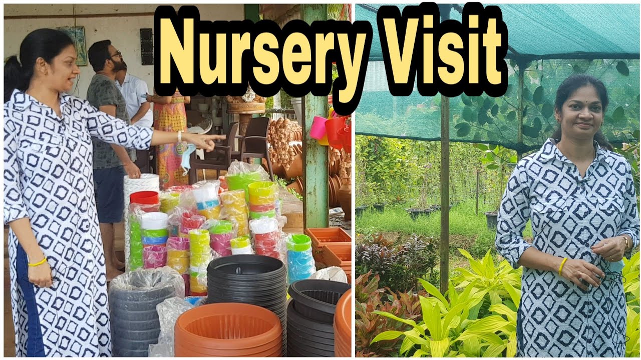 Nursery Visit/సీఎంఆర్ నర్సరీ అప్డేట్  #madgardener  #nusery  #gardening