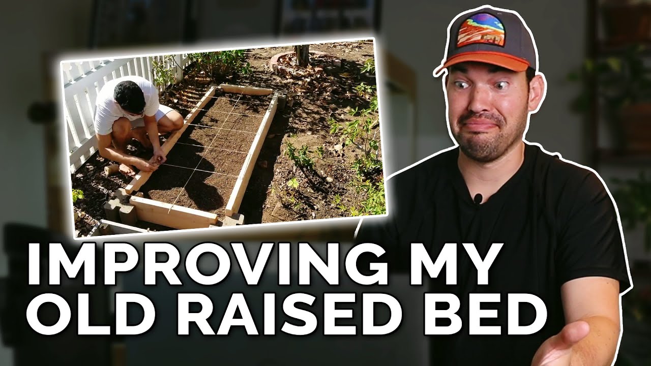 Fixing an Old Raised Garden Bed Design!