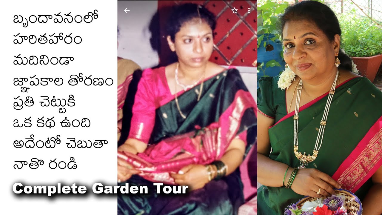Complete Gardening Tour / Story behind every tree in my Garden / Kalagura Gampa Garden Tour