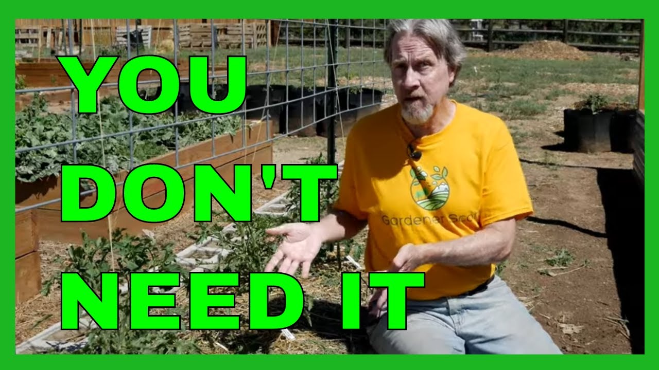 Gardening Tips You Can Ignore (7 MORE)
