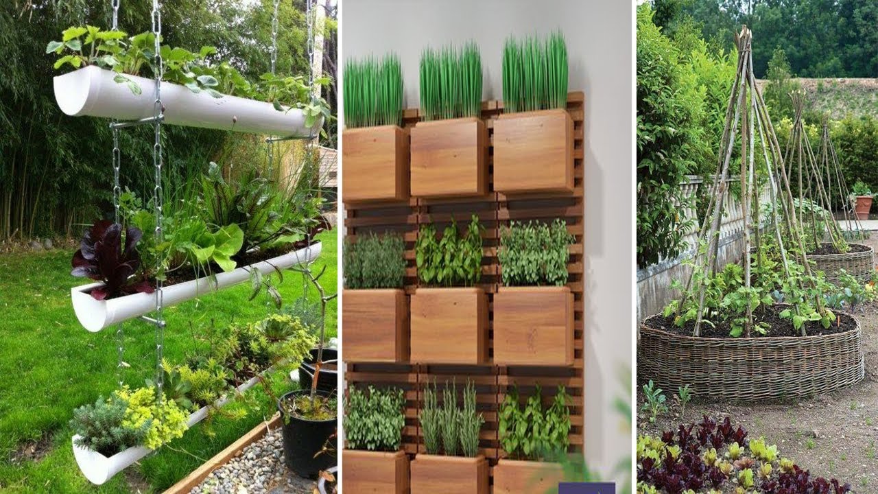 Amazing Vertical Gardening Ideas | diy garden