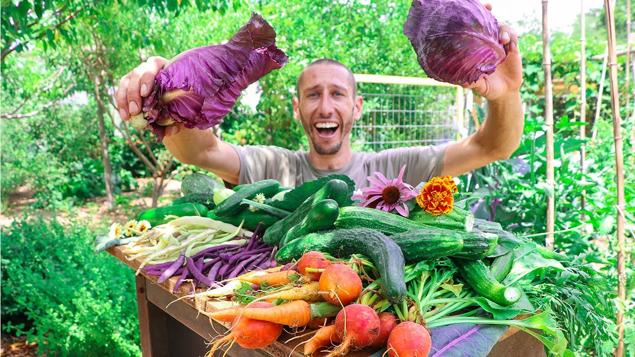 Incredible Backyard Gardening Harvest, Sustainable Food Forest Garden