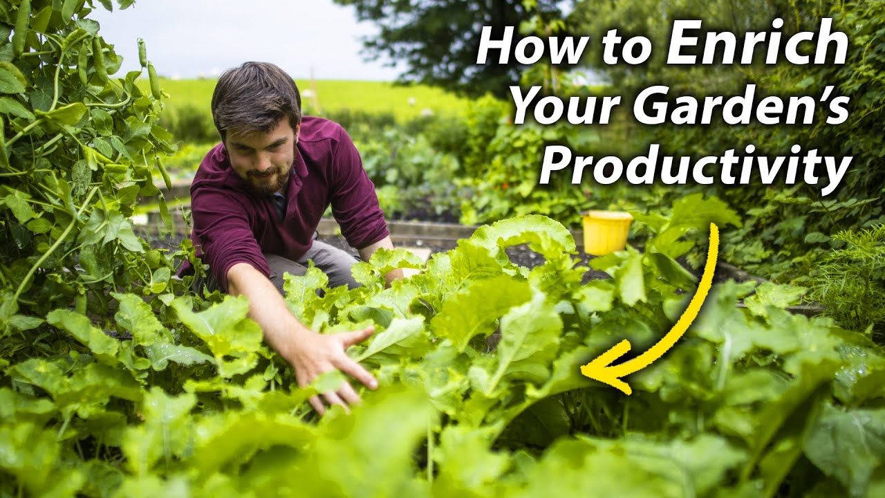 Finding Hidden Opportunities in the Veg Garden | Ultimate Gardening Skills Series