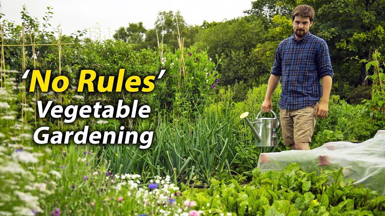 'No Rules' Vegetable Gardening | A Different Way of Growing Food | An Introduction
