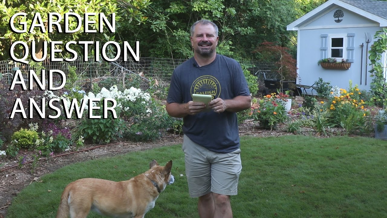 Garden Question and Answer - Great Summer Gardening Questions