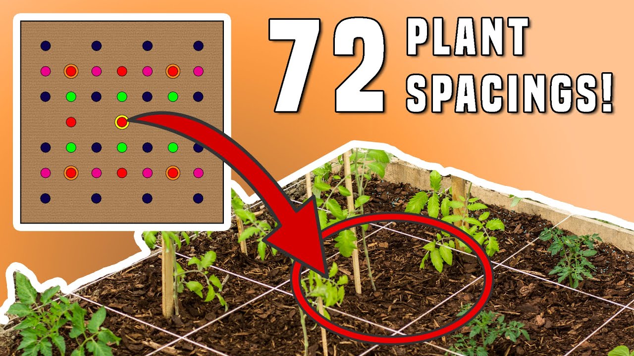 Square Foot Gardening PLANT SPACING (TEMPLATE Chart FOR 72 PLANTS
